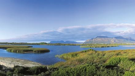Virtual Birdathon at False Bay Nature Reserve the perfect school holiday adventure