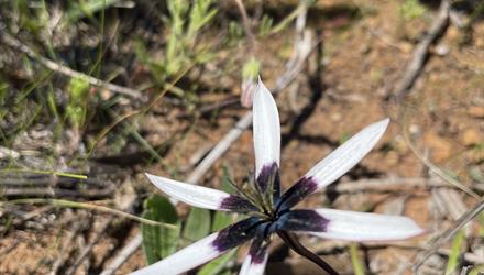 Durbanville Nature Reserve now open on weekends