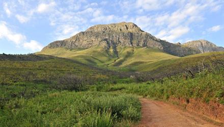 City’s nature reserves continue to flourish in 2020