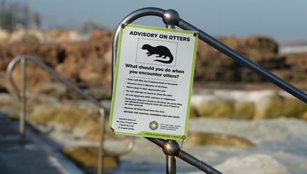 City installs warning signage after Dalebrook otter incident