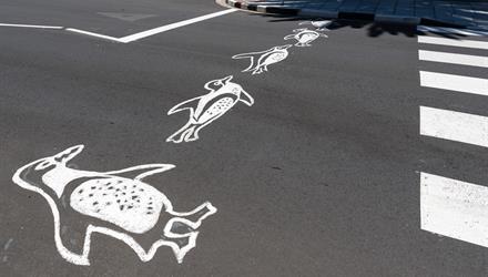 Pedestrian crossing represents the penguins of Simon’s Town
