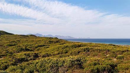 Free access to City’s nature reserves this Heritage Day
