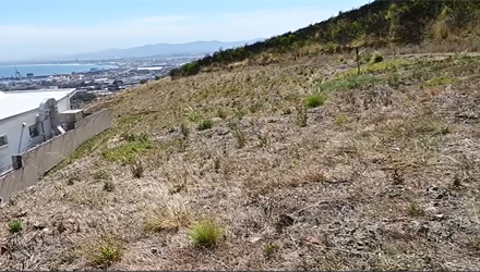 Vegetation fires – time to ‘buffer up’