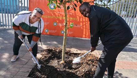 Recreation and Parks distributes 3 000 trees and counting 