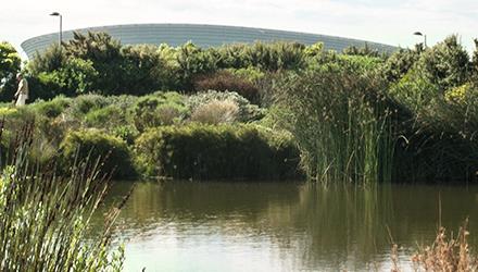 World Ranger Day 2026 - City celebrates Cape Town’s nature guardians