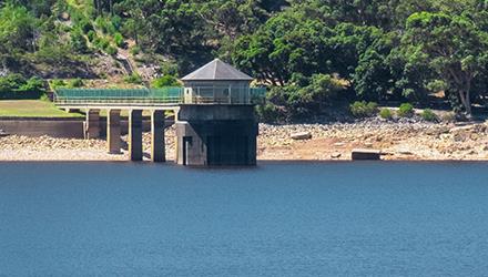 Think water-wise, to keep the vibe this festive season
