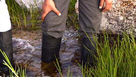 Celebrating wetlands and traditional knowledge at Rondevlei