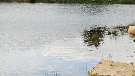 Inspectors check properties as water usage remains high 