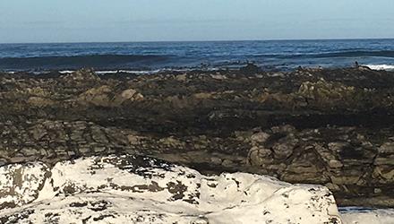 City releases latest report on coastal water quality   