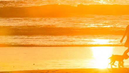 It’s hot! And Cape Town has its first Chief Heat Officer