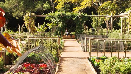 Small-scale farming business rules the roost thanks to City’s EPWP Training Programme  