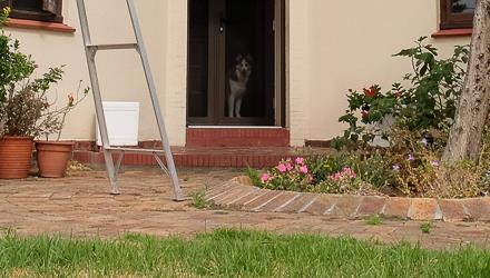 Cash for Power: Capetonians reach R50m earnings mark
