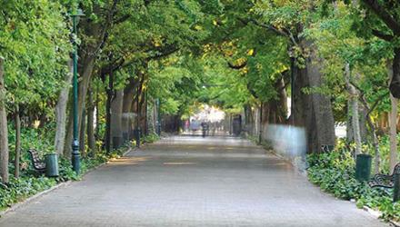 City Marks Earth Day with Trees and Hope