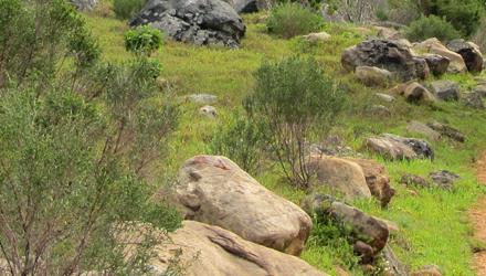 City’s youth hiking challenge builds resilience and keeps youth on a positive path 