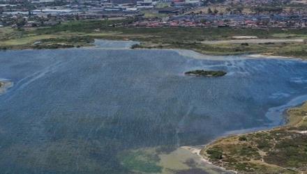 Friends of the Rivers of Hout Bay benefits from the City's grant funding