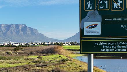 Poachers kill tortoises in City nature reserve