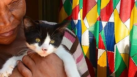 Animal matters is a shared responsibility