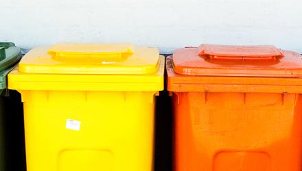 City highlights organic waste diversion efforts on Zero Emissions Day