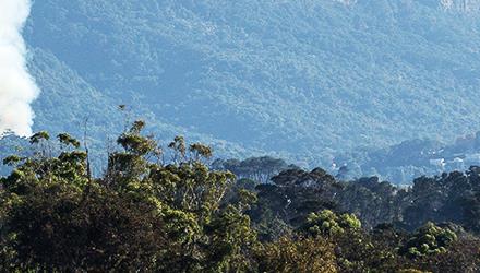 Robben Island fuel reduction burn showcases local biodiversity and secures key heritage site
