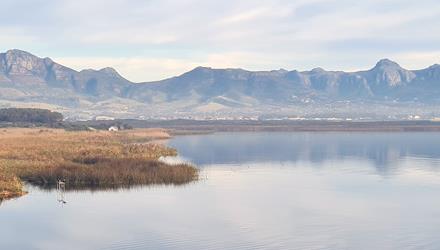 Preparations under way for dredging of Zeekoevlei