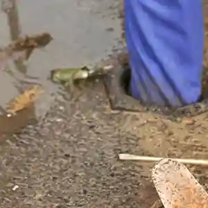 Prevent-blocked-sewers-in-your-home-Header.jpg