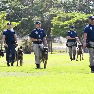 K9 competition.jpg