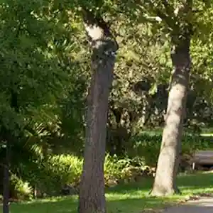 Regional-Parks-Header.jpg