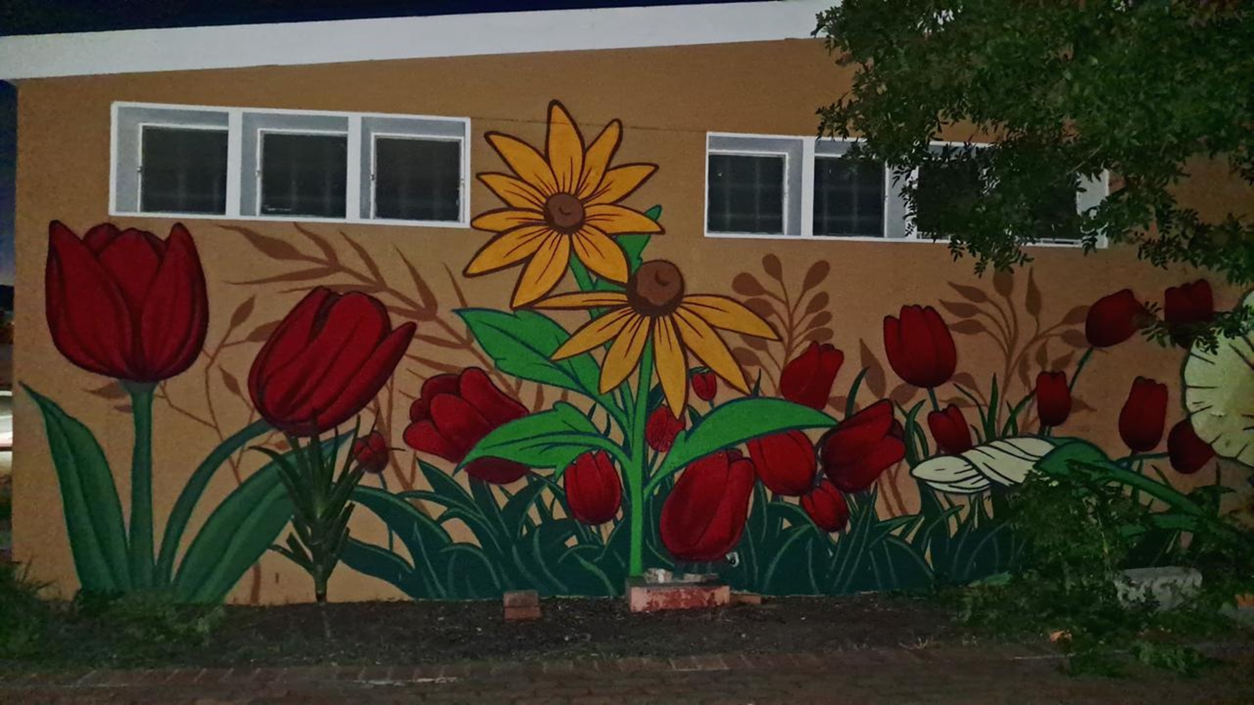 Murals-Blackheath-Community-Hall - Copy.jpeg