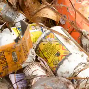 Hazardous-waste-in-the-home-and-community-Header.JPG