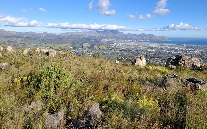 city-nature-2.jpg