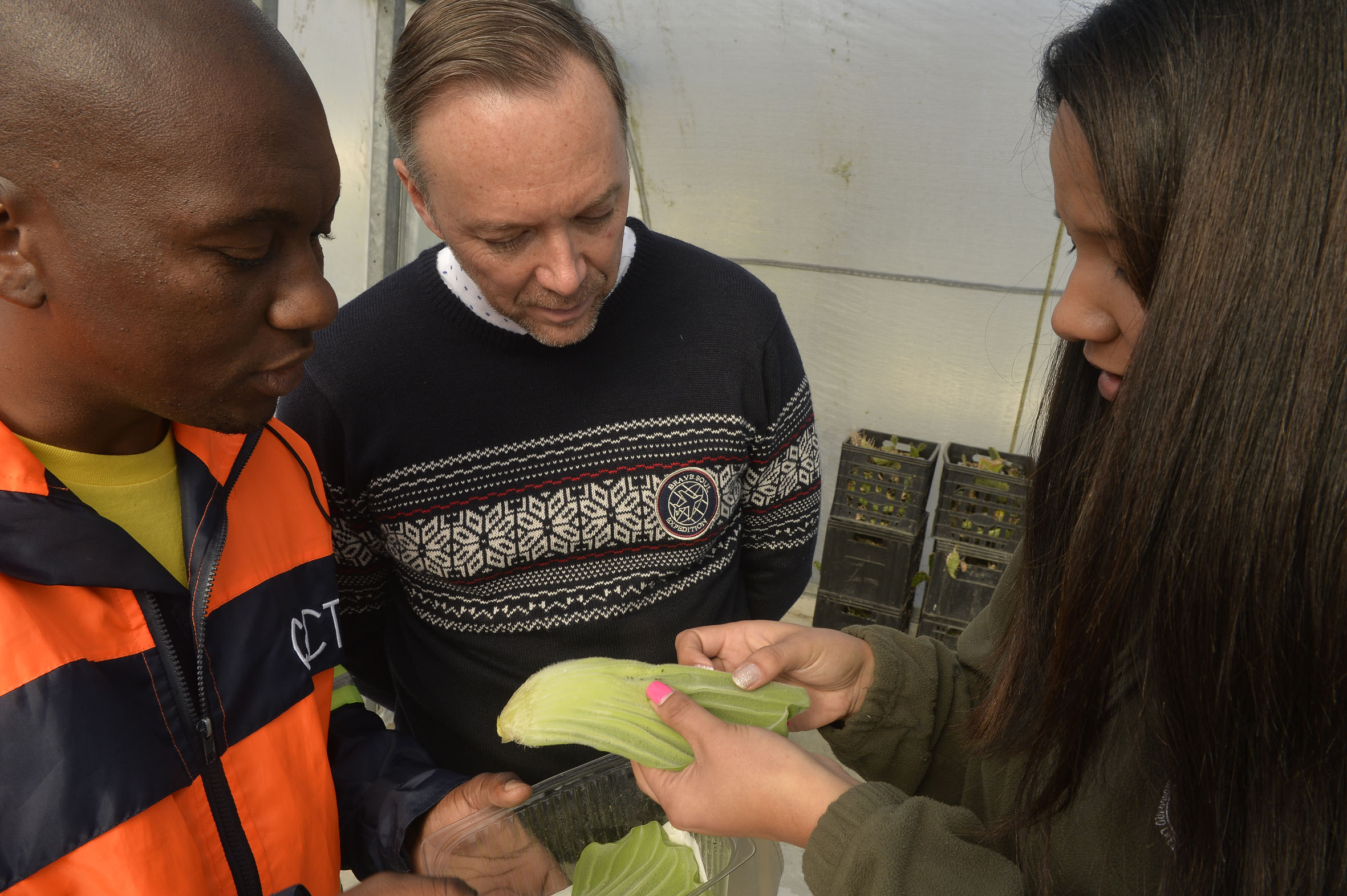 From left: Sabelo Lwana, EPWP Community Liaison Officer, with Councillor Brett Herron, Mayoral Committee Member for Transport and Urban Development; and Chandre Rhoda, the manager for the City’s Invasive Species Programme, inspect the water lettuce for biocontrol agents.